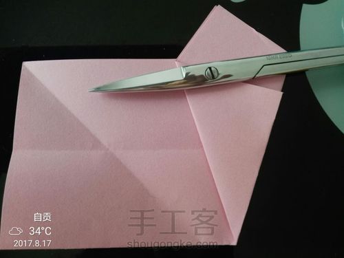 美丽的小花花🌹 第6步