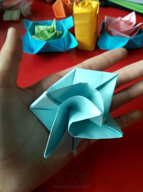 爱情的玫瑰 第17步