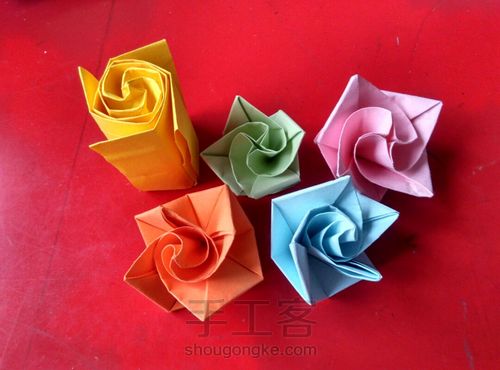 爱情的玫瑰 第19步