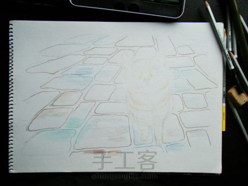 彩铅手绘猫咪肖像画像 第10步