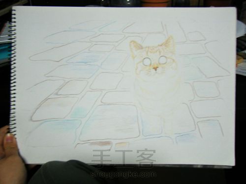 彩铅手绘猫咪肖像画像 第11步