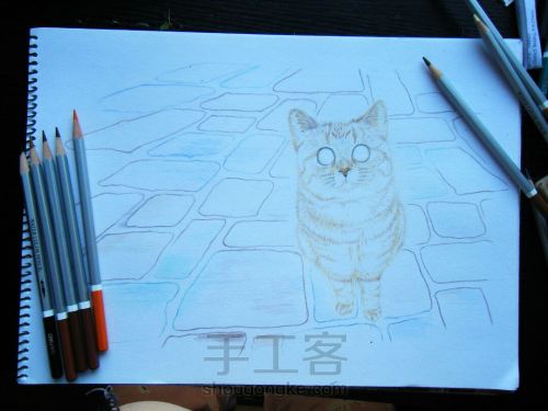 彩铅手绘猫咪肖像画像 第12步