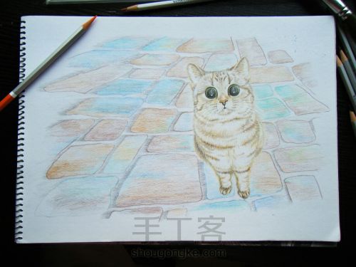彩铅手绘猫咪肖像画像 第15步
