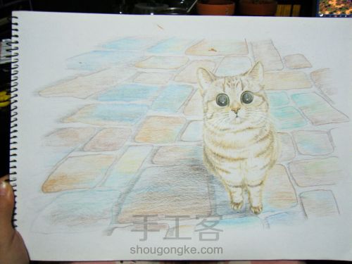 彩铅手绘猫咪肖像画像 第16步