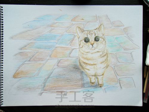 彩铅手绘猫咪肖像画像 第17步