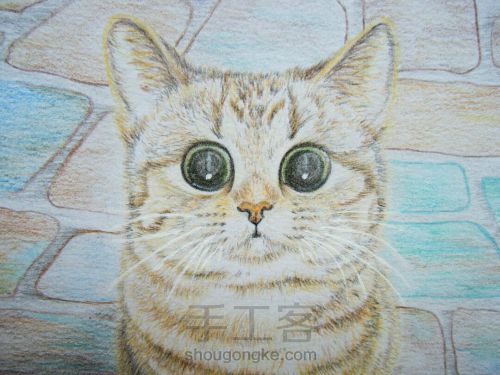 彩铅手绘猫咪肖像画像 第18步