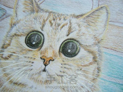 彩铅手绘猫咪肖像画像 第19步