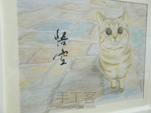 彩铅手绘猫咪肖像画像 第2步