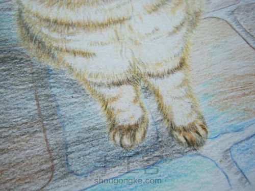 彩铅手绘猫咪肖像画像 第21步