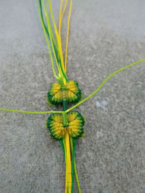 双面小蝴蝶 第30步