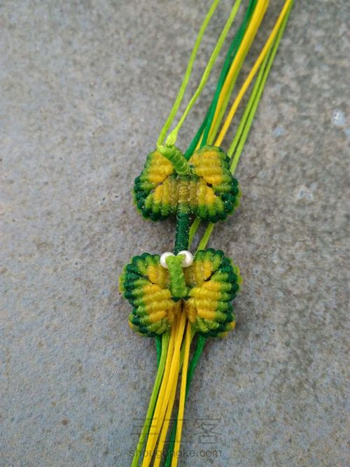 双面小蝴蝶 第31步