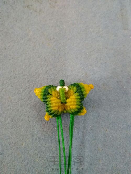 双面小蝴蝶 第37步