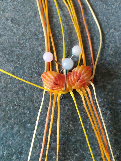 双面小蝴蝶（升级版） 第20步