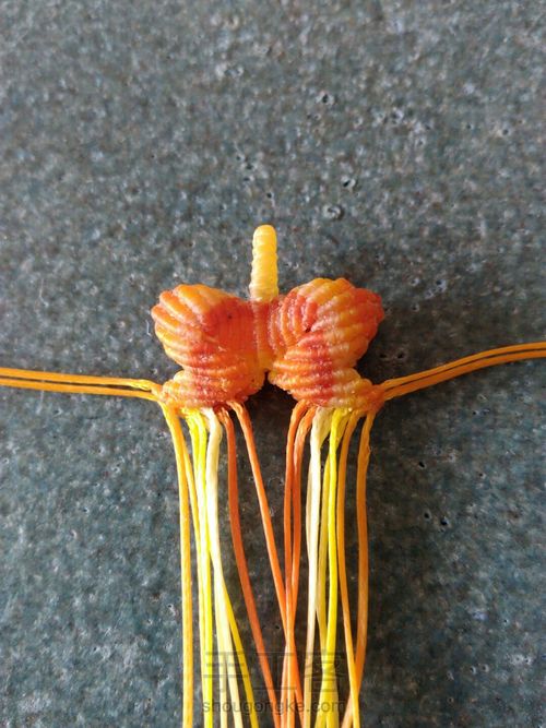 双面小蝴蝶(升级版) 第23步