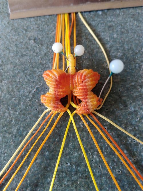 双面小蝴蝶（升级版） 第30步