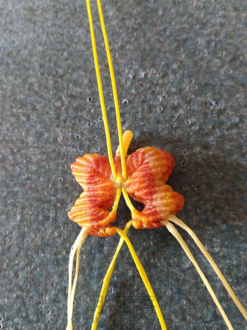 双面小蝴蝶（升级版） 第32步