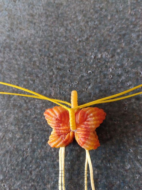 双面小蝴蝶（升级版） 第33步