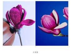 辛夷，又叫紫玉兰，春季开花，花开九瓣，每层三片