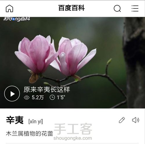 辛夷簪 第1步