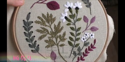 帅气的植物🌴 第1步