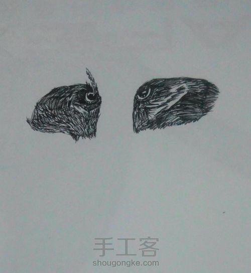 中性笔画——浣熊 第2步