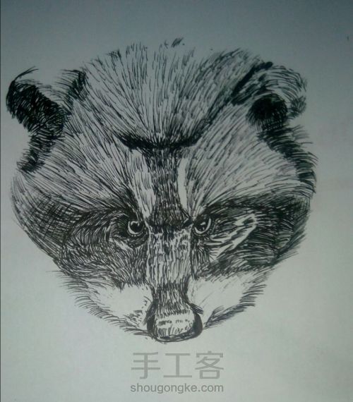 中性笔画——浣熊 第4步