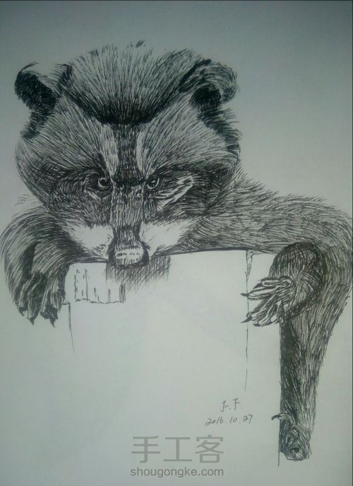 中性笔画——浣熊 第7步