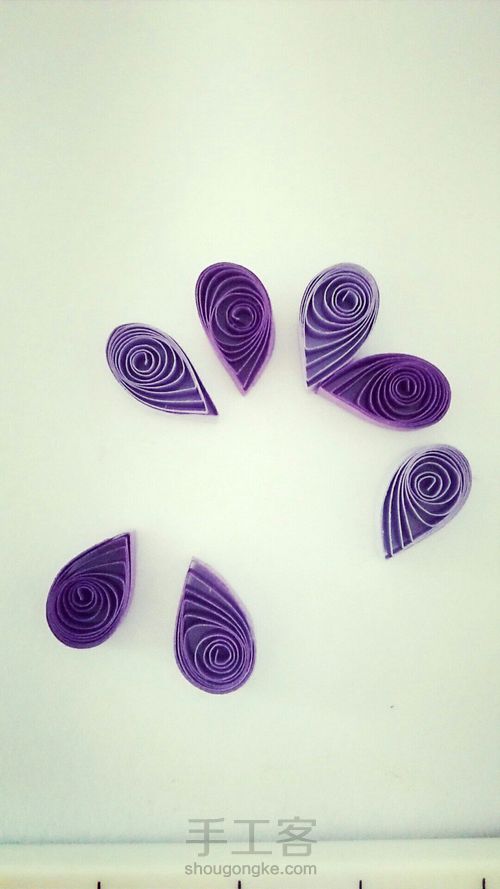 紫色小草花 第1步