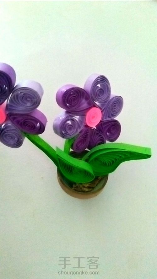 紫色小草花 第9步