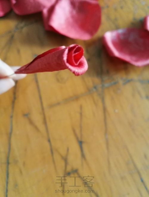纸藤花之『小玫瑰』 第13步