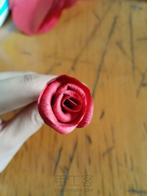 纸藤花之『小玫瑰』 第14步