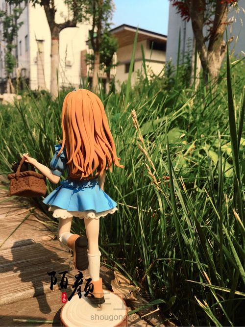 《绿野仙踪》 第39步