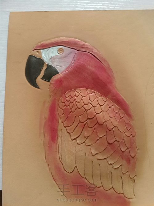 皮雕大胡子鹦鹉 第6步