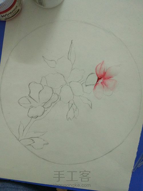 水粉花卉之桃夭🌸 第1步