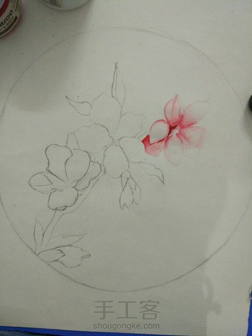 水粉花卉之桃夭🌸 第2步