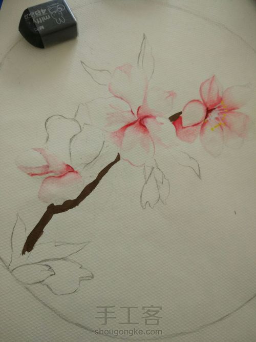 水粉花卉之桃夭🌸 第4步