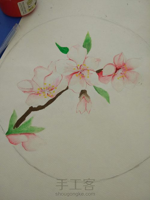 水粉花卉之桃夭🌸 第6步