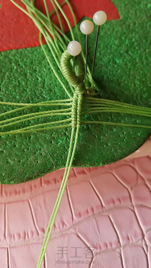 双面叶子 第10步