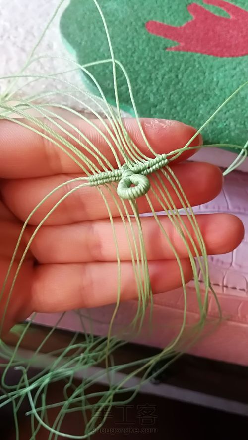 双面叶子 第11步