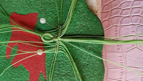 双面叶子 第12步