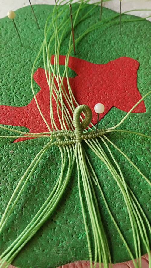 双面叶子 第14步