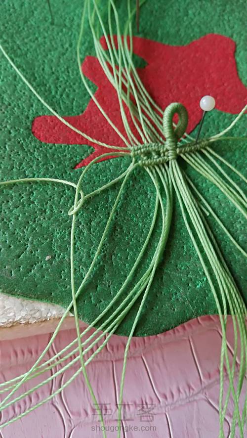 双面叶子 第15步