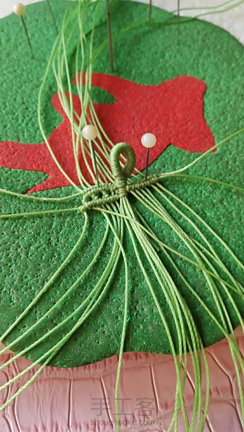 双面叶子 第16步