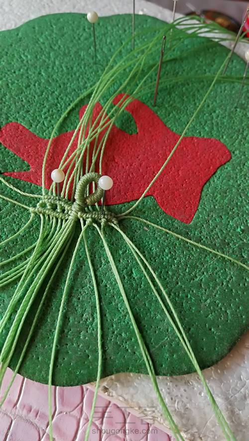 双面叶子 第18步