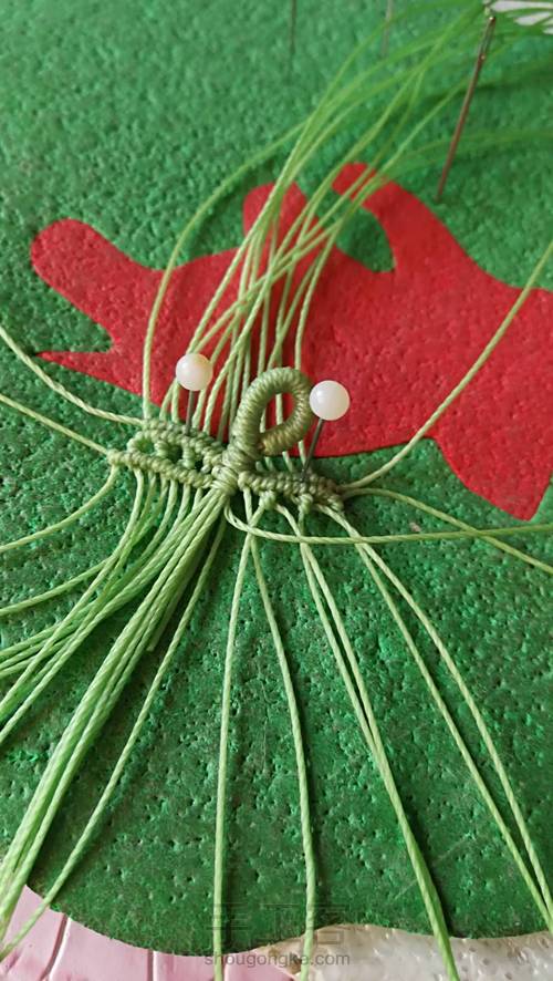 双面叶子 第19步