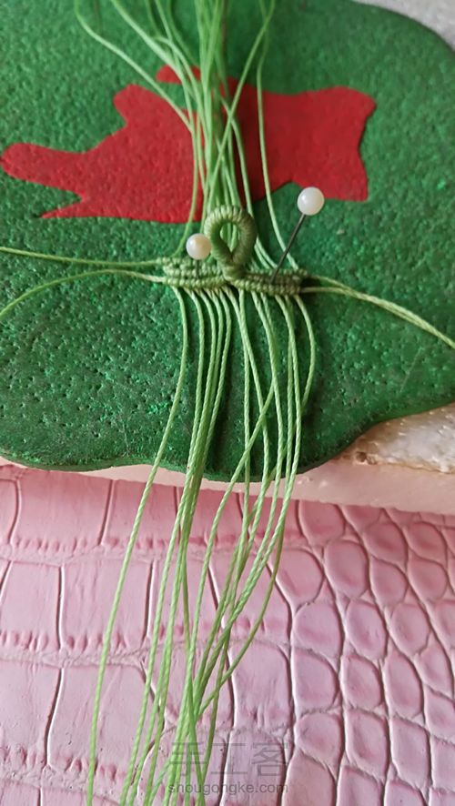 双面叶子 第21步