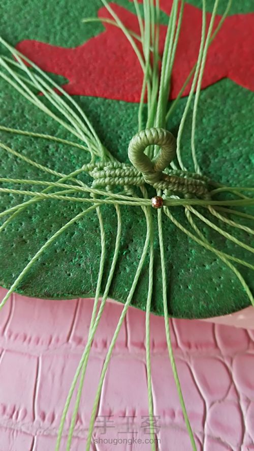 双面叶子 第22步