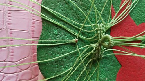 双面叶子 第23步