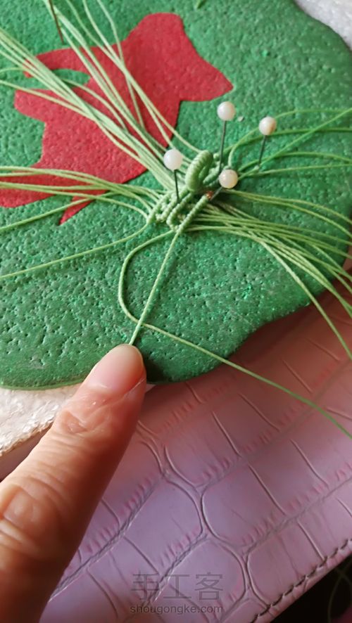 双面叶子 第24步