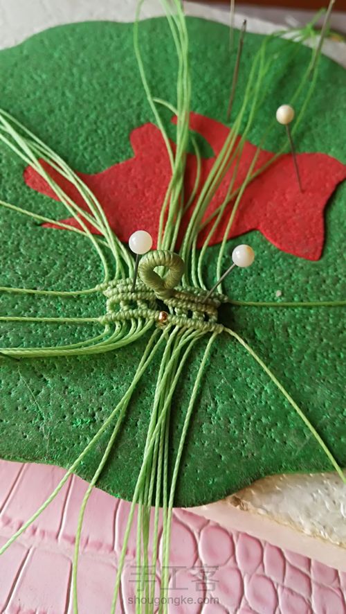 双面叶子 第25步